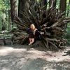 sarahspeakman